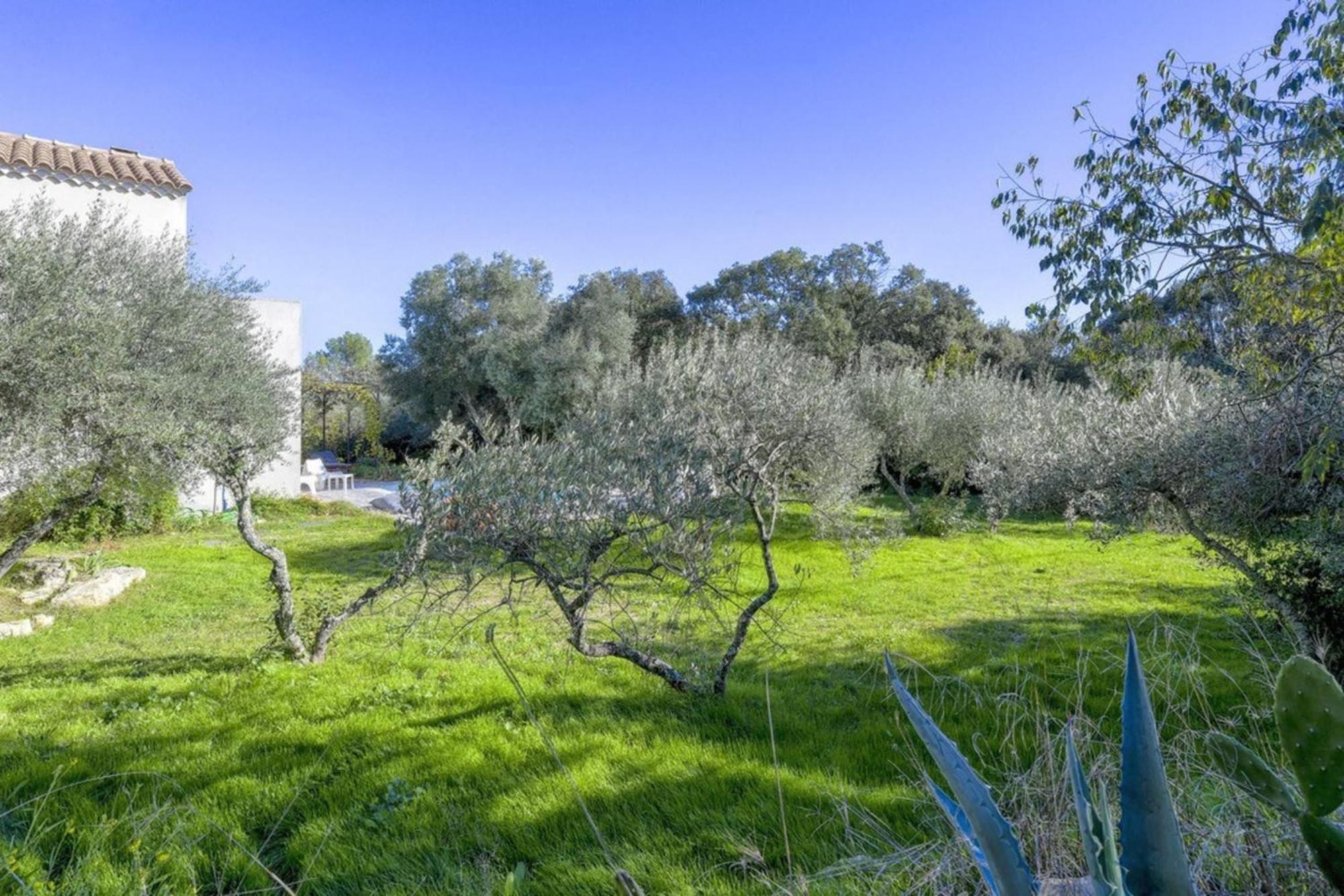 Villa Paradise Place South Of France *